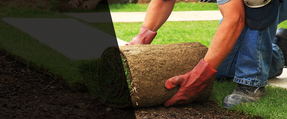 Longs Landscapers